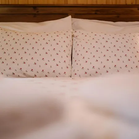 Dovolenkový dom Tradicne Drevenicky Holubkovia V Terchovej I Mala Fatra I Janosikove Diery Terchova